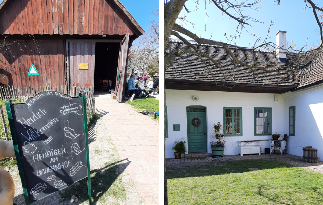 Ausflug Wien Blumengaerten Hirschstetten Heuriger