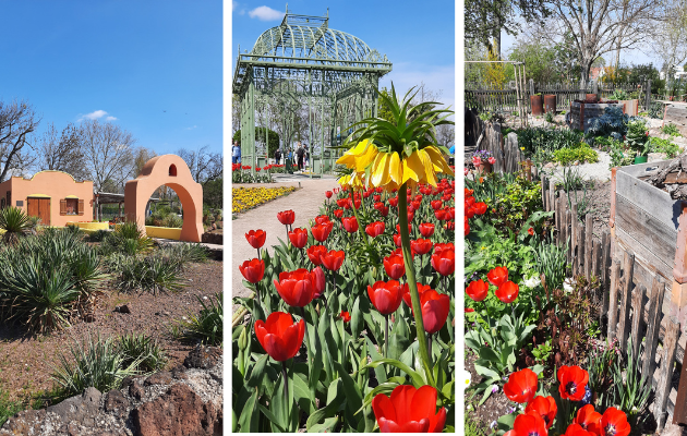 Ausflug Wien Blumengaerten Hirschstetten Themengaerten