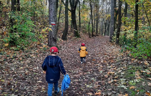 Ausflugsziel Maurer Wald Wien