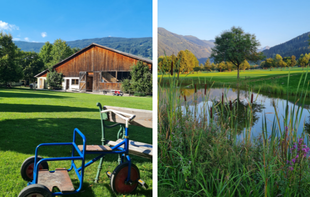 Babymoon Hotel Gut Weissenhof Radstadt 3