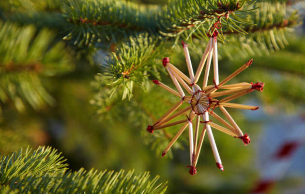 Christbaum Sicherung Kindern Babymamas Wien 4