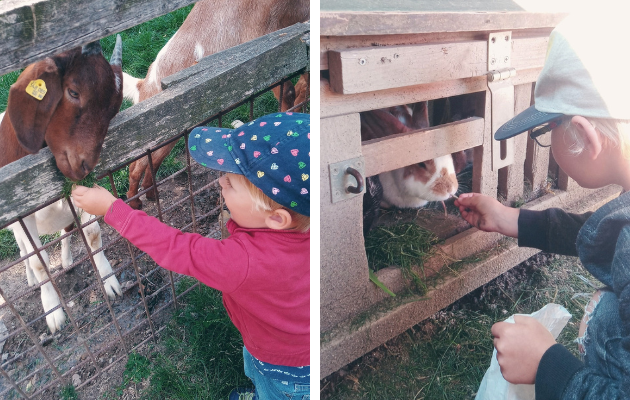 Landgut Cobenzl Babymamas Wien 2