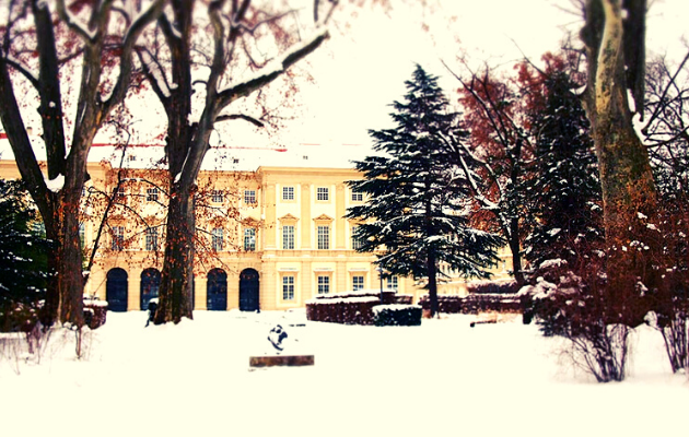 Weihnachtsmarkt im Palais Liechtenstein