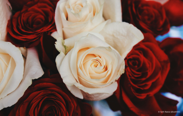 Gastbeitrag Blumen copyright Seth Reese