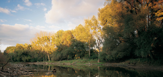 Nationalpark Donauauen Wien